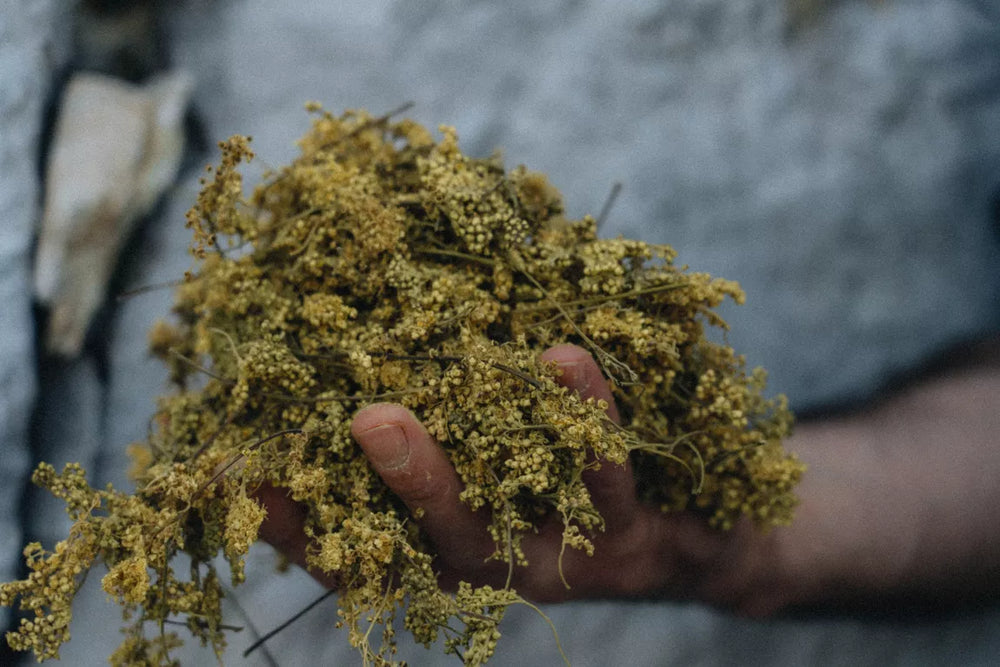 Bière BLONDE sans alcool ni gluten 75cl - RUN'HARD