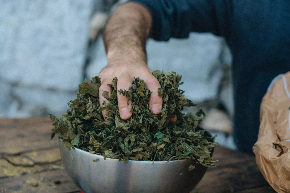 Bière IPA sans alcool ni gluten 75cl - RUN'HARD